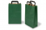 Sacs papier kraft avec anses plates - vert, 220 x 105 x 360 mm | Paysdesenveloppes.fr