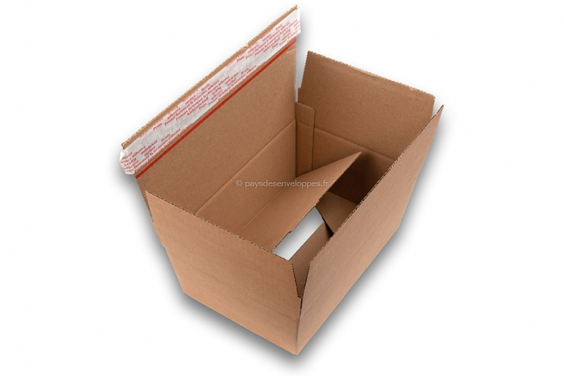 Emballage Services 100 Sacs d'expédition 20x30 cm BLANC (colis/carton/plastique/scotch/fragile)  à prix pas cher