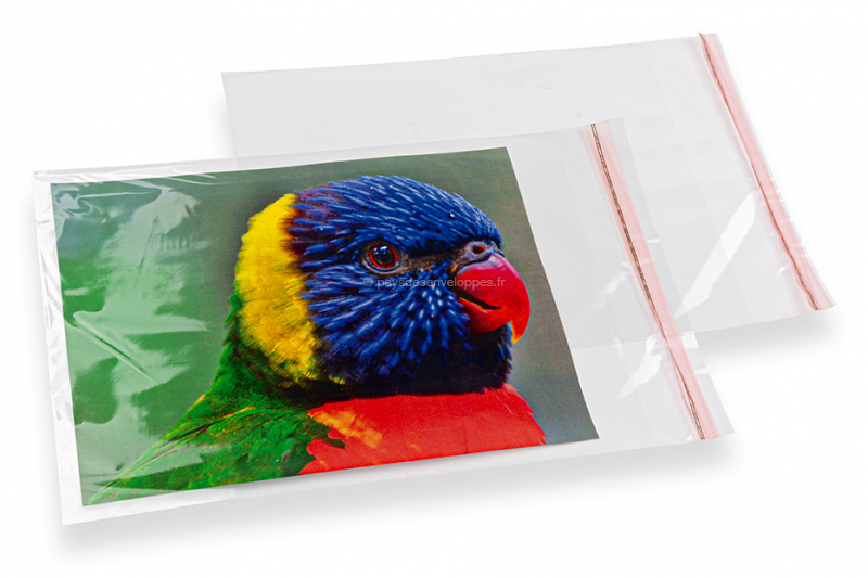 Enveloppe-cadeau Verticale Bleue Avec Poche Arrondie Sur Fond De Clips  Papier Multicolores Sur Fond Jaune Photo stock - Image du blanc, carte:  251226842